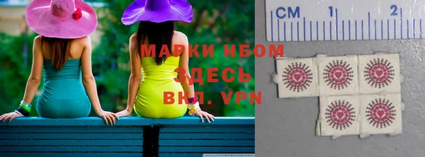 прущие грибы Костерёво