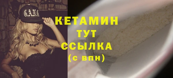 стафф Корсаков