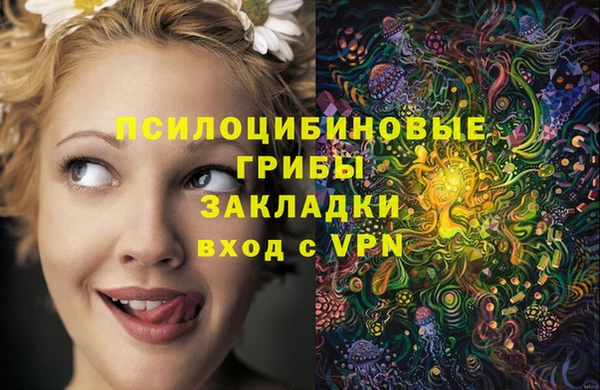 стафф Корсаков