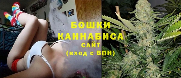 стафф Корсаков