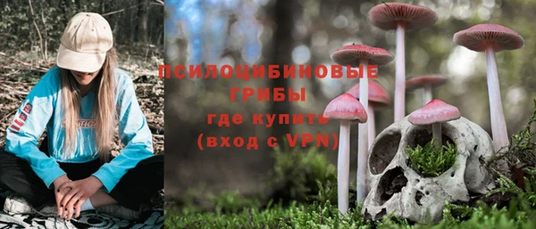прущие грибы Костерёво