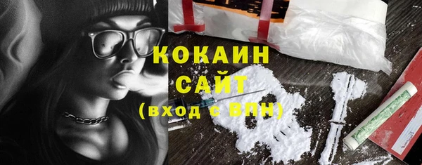 прущие грибы Костерёво