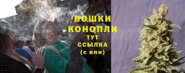 стафф Корсаков
