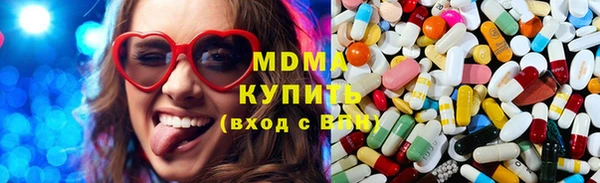 индика Козельск