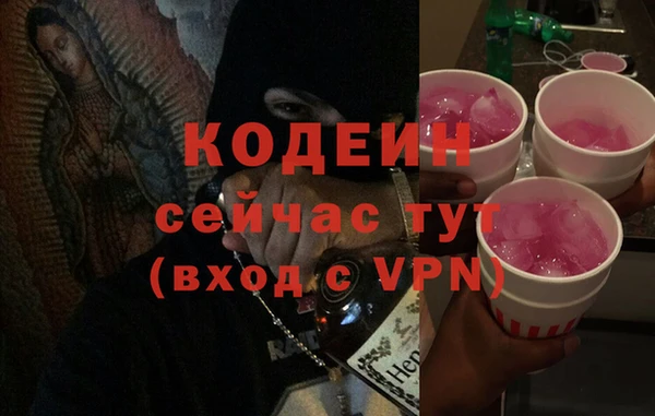 стафф Корсаков