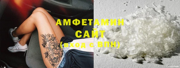прущие грибы Костерёво