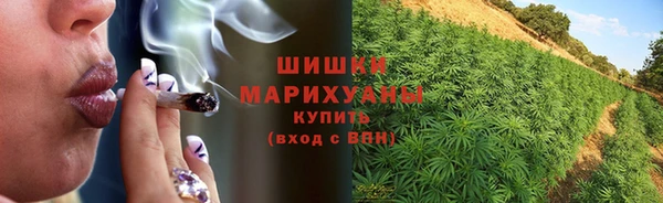 прущие грибы Костерёво