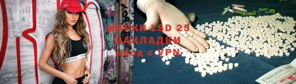 прущие грибы Костерёво