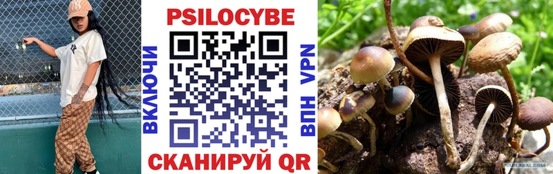 купить наркотики цена Новотитаровская Галлюциногенные грибы ЛСД